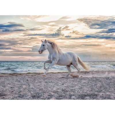 Puzzle Ravensburger-16586 Horse on the Beach