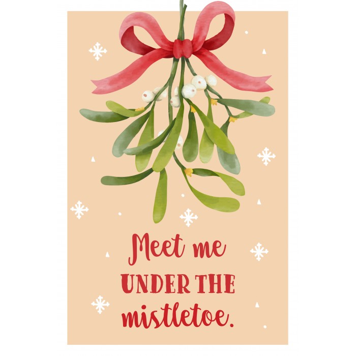 Puzzle Ravensburger-17358 Meet me under the mistletoe