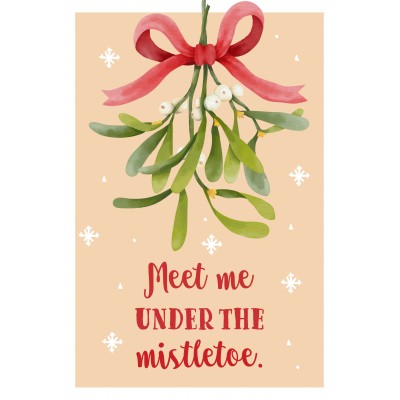 Puzzle Ravensburger-17358 Meet me under the mistletoe