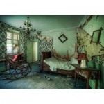 Puzzle  Ravensburger-17360 Lost Places - Crumbling Dreams