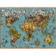 Schmetterlings-Weltkarte