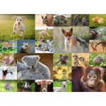 Puzzle   XXL Teile - Bébés animaux