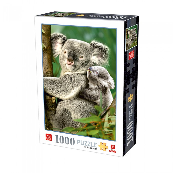 Koalabären