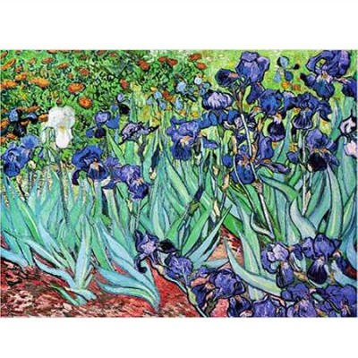Puzzle Dtoys-70241 Van Gogh: Iris