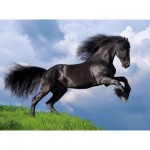 Puzzle  Clementoni-35071 Fresian Black Horse