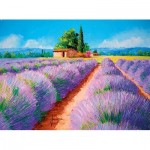 Puzzle  Clementoni-35073 Lavendel Feld