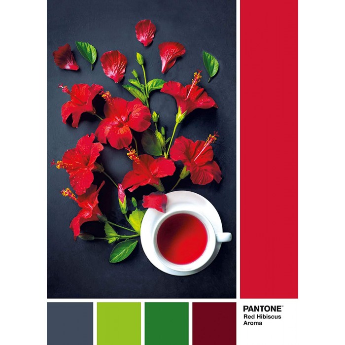 Puzzle Clementoni-39494 Pantone - Goji Berry