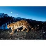 Puzzle   National Geographic - Schneeleopard