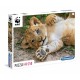 WWF - Löwenbaby