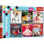 Puzzle   Cheerful Dogs