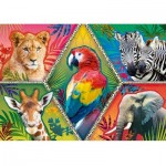 Puzzle   Exotic Animals