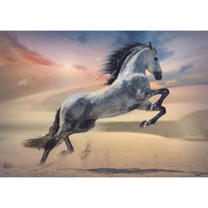 Puzzle  Trefl-10790 Majestätisches Pferd