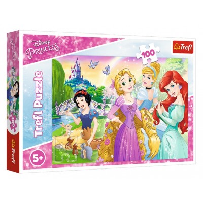 Puzzle Trefl-16393 Disney Princess