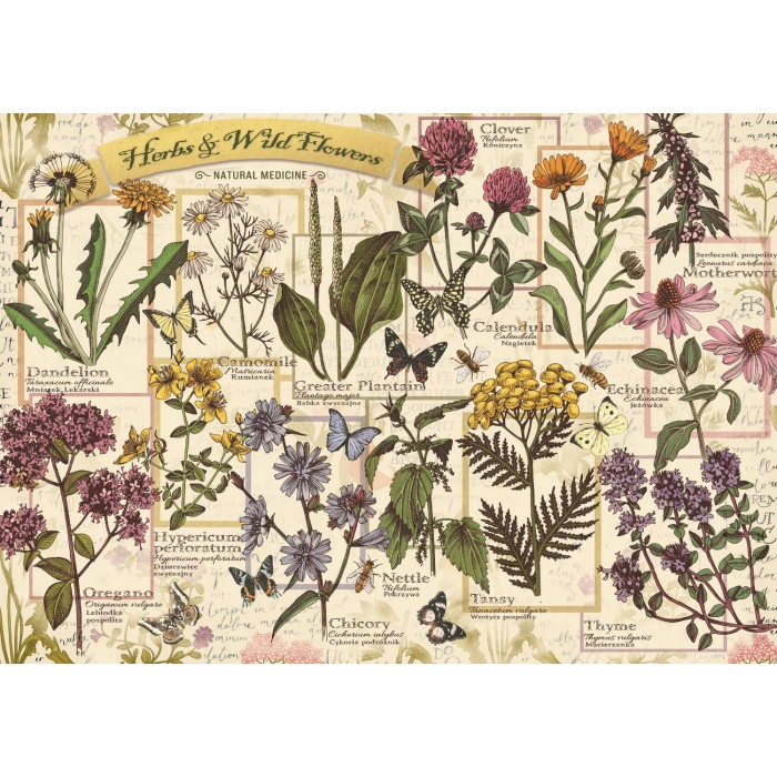 Puzzle  Trefl-37478 Herbarium: Heilkräuter