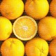 Puzzle aus Kunststoff - Fruits - Orange