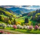 Frühlingsspaziergang