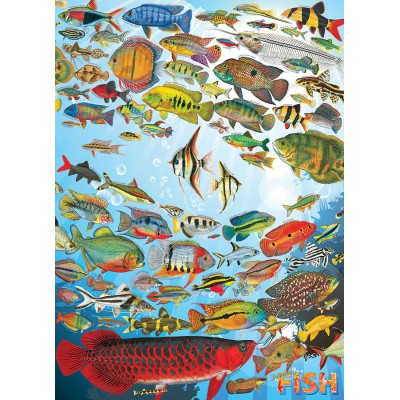 Puzzle Cobble-Hill-51794 Tropische Fische