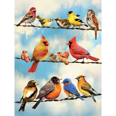 Puzzle Cobble-Hill-52093 XXL Teile - Birds on a Wire