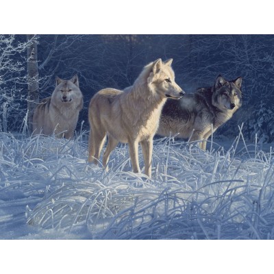 Puzzle Cobble-Hill-52100 XXL Teile - Daniel Smith - White Gold Wolves