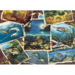 Puzzle  Cobble-Hill-80209 Fish Pics