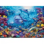 Puzzle   Dolphins at Play