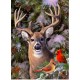 XXL Teile - One Deer Two Cardinals