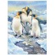 XXL Teile - Penguin Family (Family)