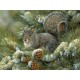 XXL Teile - Rosemary Millette - Gray Squirrel