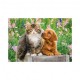 2 Puzzles -  Hund und Katze im Garten