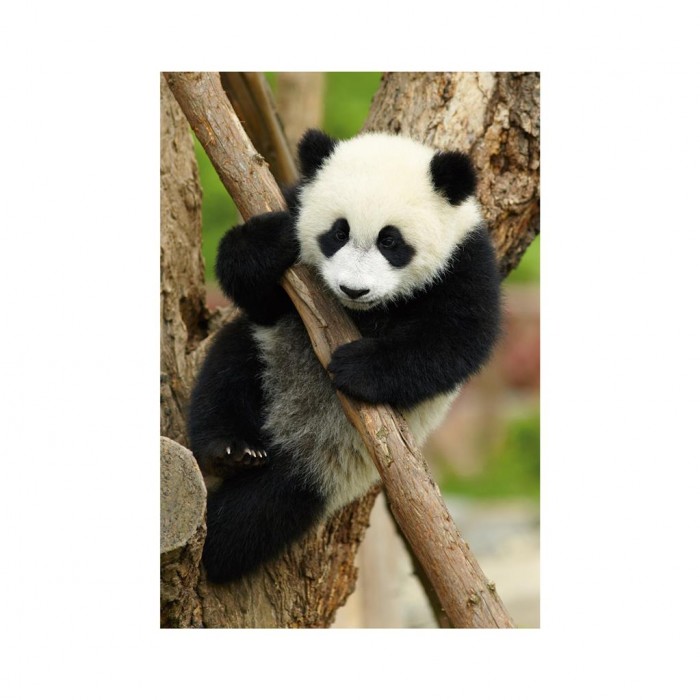 Dino-33122-Panda Mini-puzzle Panda