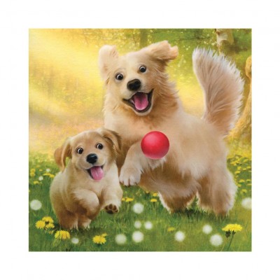 Dino-33544 3 Puzzles - Familie