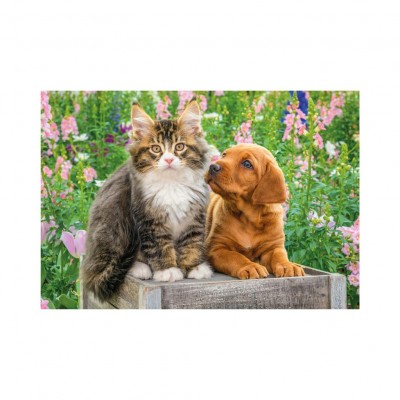 Dino-38172 2 Puzzles -  Hund und Katze im Garten