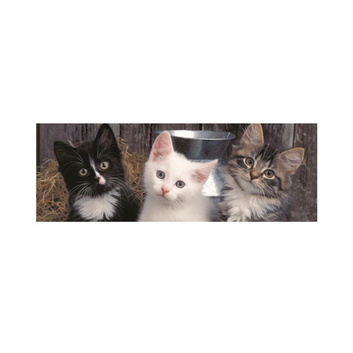 XXL Teile - Three Kittens