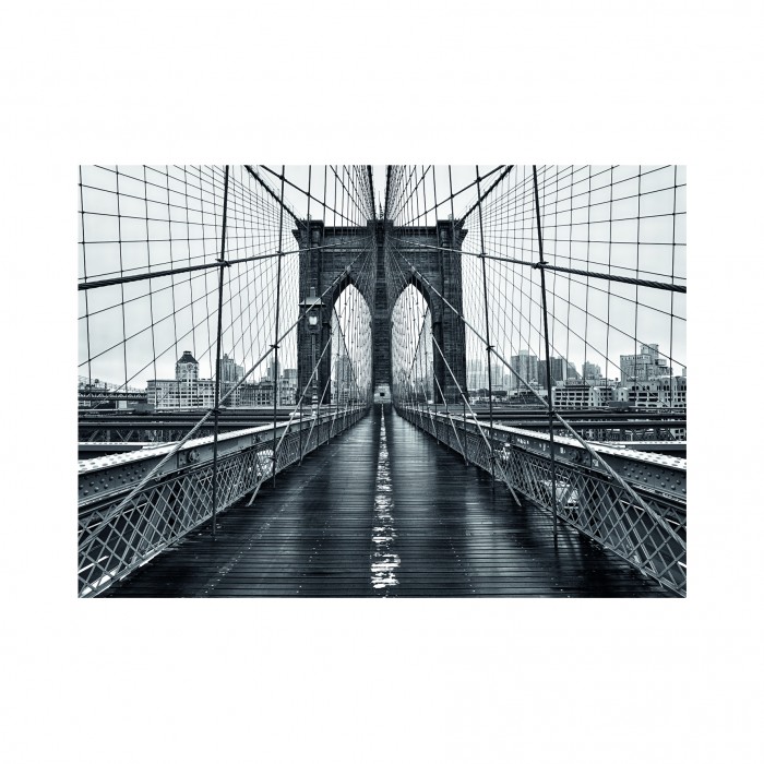Puzzle Dino-53290 Black and White New York