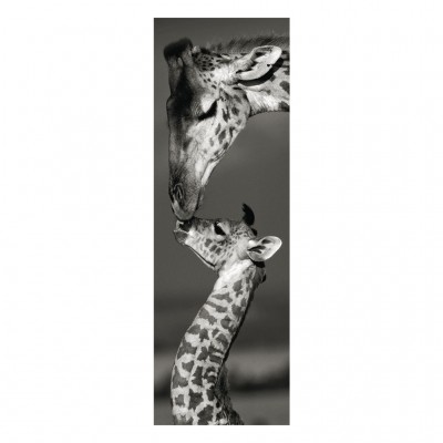 Puzzle Dino-54511 Giraffen