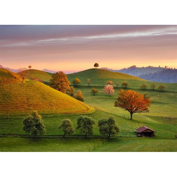 Puzzle Dino-56321 Fabulous Sunrise