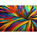 Puzzle   Colorful Feathers