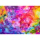 Colourful Abstract Oil Painting