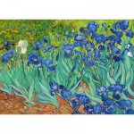 Puzzle  Enjoy-Puzzle-1185 Vincent Van Gogh: Schwertlilien
