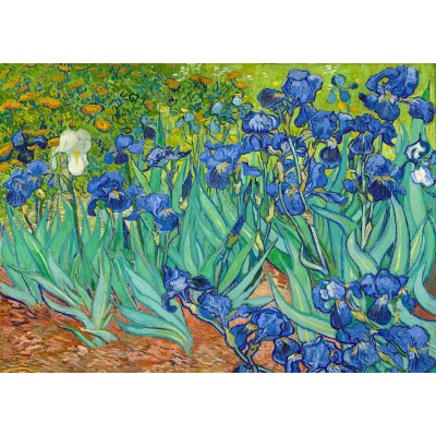 Puzzle Enjoy-Puzzle-1185 Vincent Van Gogh: Schwertlilien