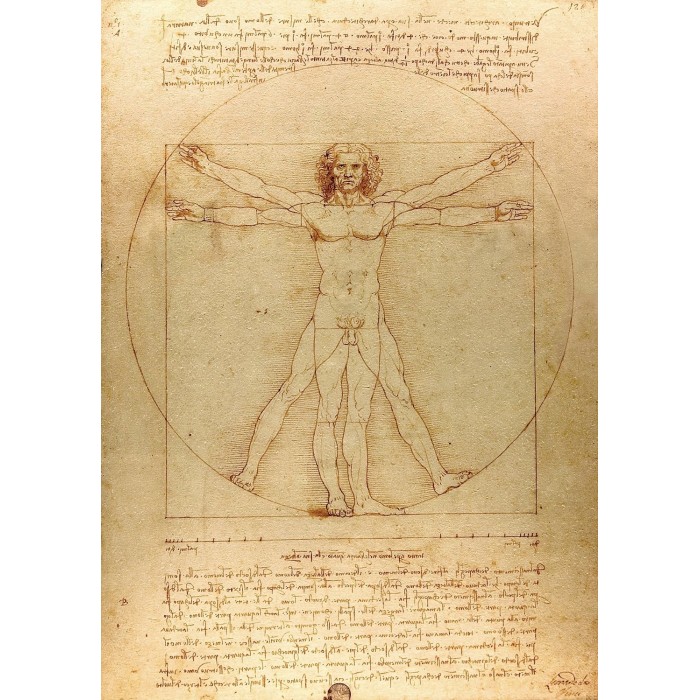 Puzzle Enjoy-Puzzle-1557 De Vinci - The Vitruvian Man
