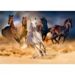 Puzzle   Horses Running in the Desert