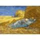 Vincent Van Gogh: Die Siesta