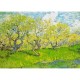 Vincent Van Gogh: Obstgarten in Blüte