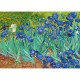Vincent Van Gogh: Schwertlilien