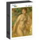 Auguste Renoir : Nude, 1895