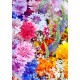 Blumen-Explosion