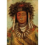 Puzzle   George Catlin: Boy Chief - Ojibbeway, 1843