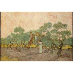 Puzzle  Grafika-Kids-00447 XXL Teile - Van Gogh: Women Picking Olives,1889