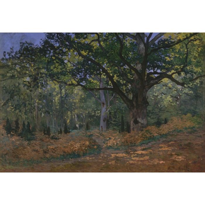 XXL Teile - Claude Monet: Fontainebleau, 1865